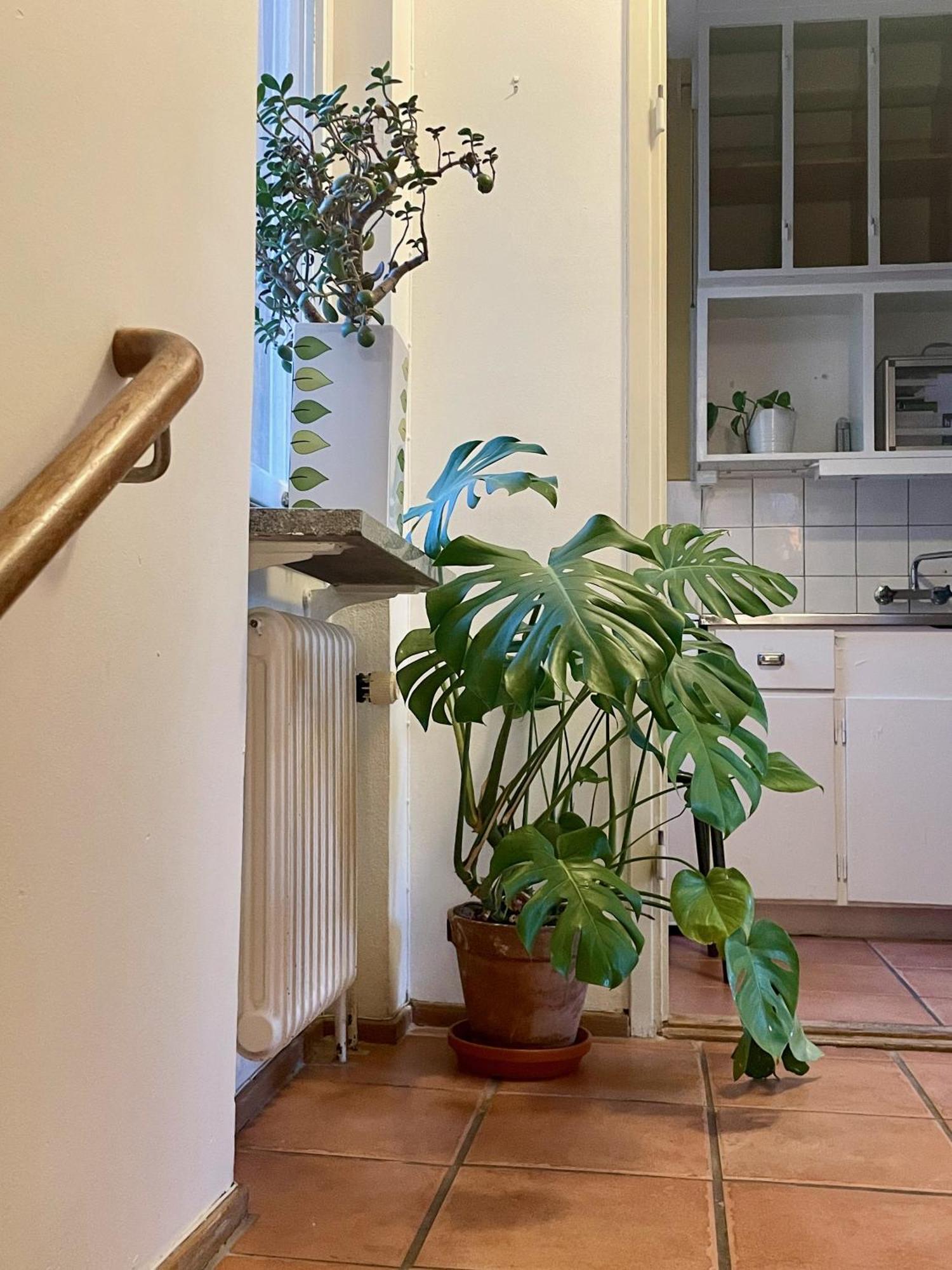Hemmet Simrishamns Vandrarhem Och B&B Εξωτερικό φωτογραφία